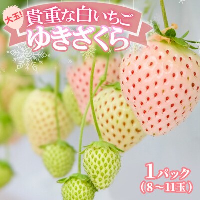いちご 大玉!希少 白いちご ゆきざくら (1パック 8玉又は11玉入り)[No5354-0866]
