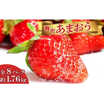いちご 贅沢 あまおう 8パック 総重量 約1.7kg[No5354-0503]