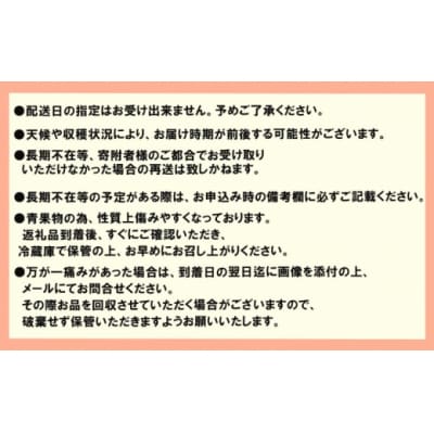 いちご 贅沢 あまおう 8パック 総重量 約1.7kg[No5354-0503]