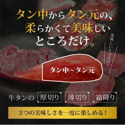 牛たん尽くしセット 3種 [900g・約6～9人前][No5354-0729]