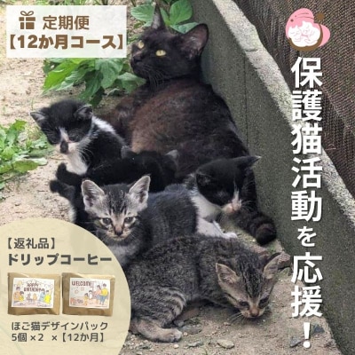 定期便 12回 保護猫活動を応援! ドリップバッグ 10袋×12カ月[No5354-0924]