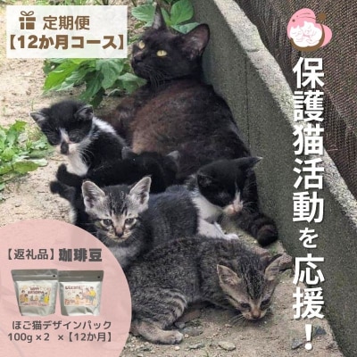 定期便 12回 保護猫活動を応援! 珈琲豆 2種各100g×12カ月[No5354-0927]