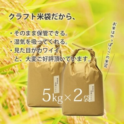 米 10kg 夢つくし 福岡の食卓ではおなじみ人気のお米5kg×2袋 白米[No5354-0966]