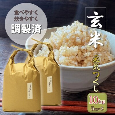 玄米 10kg 元気つくし 福岡県産 特A評価 お米 5kg×2袋 米[No5354-0965]