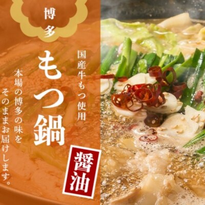 もつ鍋 醤油味 2～3人前 もつ 鍋 セット[No5354-0835]