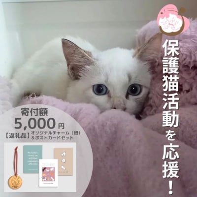 保護猫活動を応援! ロゴチャーム(紐)&ポストカード×3枚[No5354-0976]