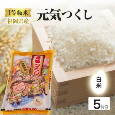 1等級米 米 1粒からこだわる 福岡県産米 元気つくし 白米 5kg[No5354-0974]