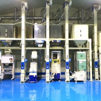 1等級米 米 1粒からこだわる 福岡県産米 元気つくし 白米 5kg[No5354-0974]