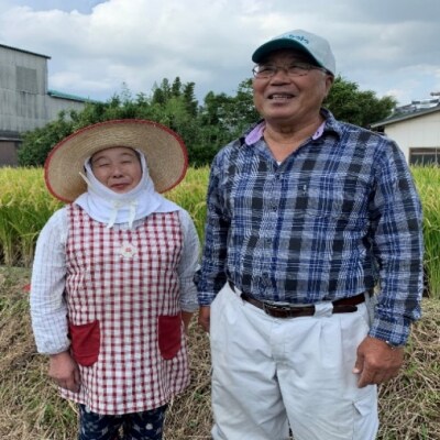 1等級米 米 1粒からこだわる 福岡県産米 元気つくし 白米 5kg[No5354-0974]