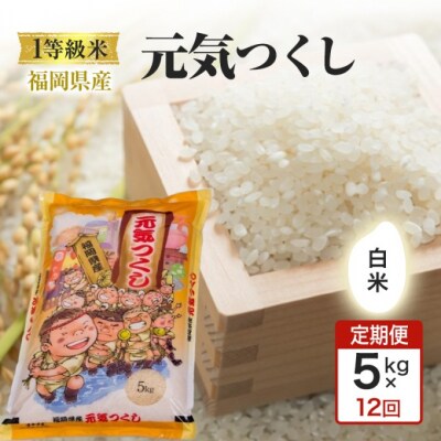 定期便12回 1等級米 1粒からこだわる福岡県産米 元気つくし 白米5kg[No5354-0975]