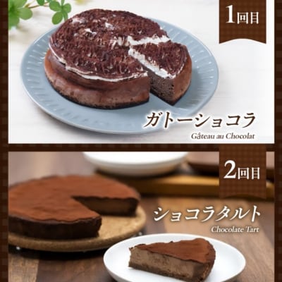 定期便 4回 手作り 低糖質ショコラ 4ヶ月コース[No5354-2161]