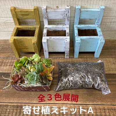多肉植物 寄せ植えキットA 木椅子型 プランター 黄色 全3色[No5354-7043]