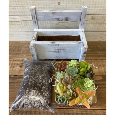 多肉植物 寄せ植えキットB ベンチ型 プランター 白色 全4色[No5354-7047]
