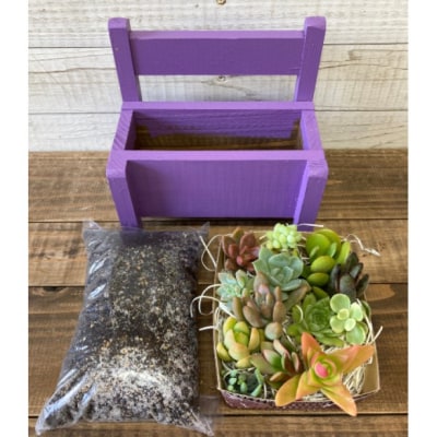 多肉植物 寄せ植えキットB ベンチ型 プランター 紫色 全4色[No5354-7048]