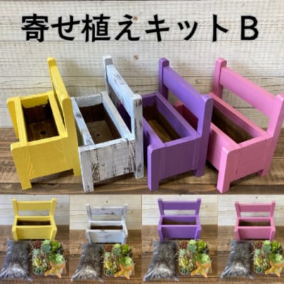 多肉植物 寄せ植えキットB ベンチ型 プランター ピンク色 全4色[No5354-7049]