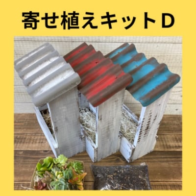 多肉植物 寄せ植えキットD 屋根付き プランター 赤色 全3色[No5354-7053]