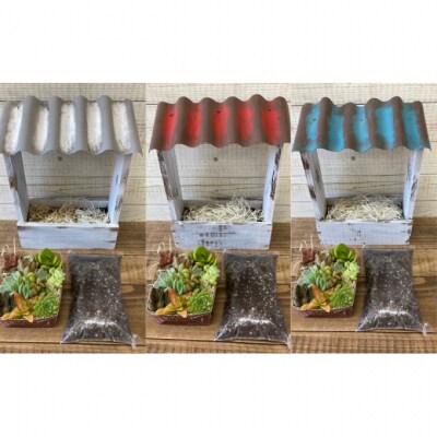 多肉植物 寄せ植えキットD 屋根付き プランター 赤色 全3色[No5354-7053]