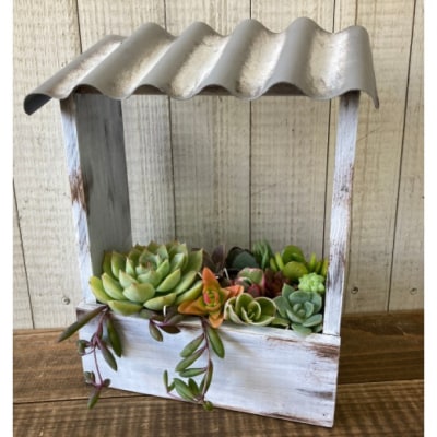 多肉植物 寄せ植えキットD 屋根付き プランター 白色 全3色[No5354-7052]