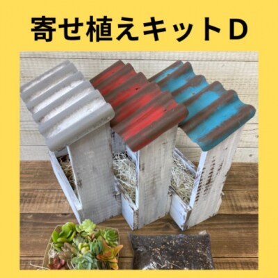 多肉植物 寄せ植えキットD 屋根付き プランター 青色 全3色[No5354-7054]