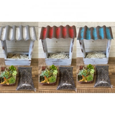 多肉植物 寄せ植えキットD 屋根付き プランター 青色 全3色[No5354-7054]