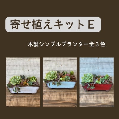 多肉植物 寄せ植えキットE シンプル プランター 赤色 全3色[No5354-7056]