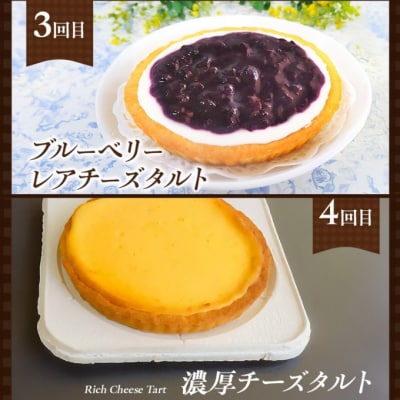 定期便 5回 手作り 低糖質 タルト 5ヶ月コース[No5354-2162]