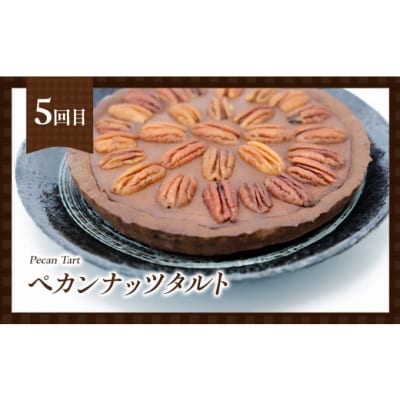 定期便 5回 手作り 低糖質 タルト 5ヶ月コース[No5354-2162]