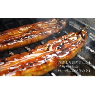 心に染みる「かけはし」の味 特大 うなぎの蒲焼き 3尾[No5354-0071]