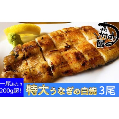 心に染みる「かけはし」の味 特大 うなぎの白焼き 3尾[No5354-0065]