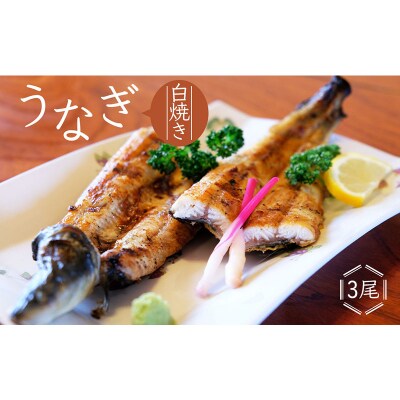かけはし 創業40年 全てが職人による手焼き うなぎの白焼き 3尾[No5354-0061]