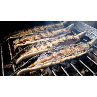 かけはし 創業40年 全てが職人による手焼き うなぎの白焼き 3尾[No5354-0061]