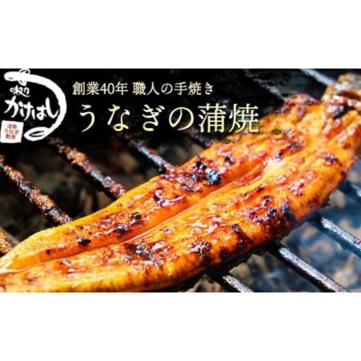 創業40年 全てが職人による手焼き うなぎの蒲焼き 3尾[No5354-0057]