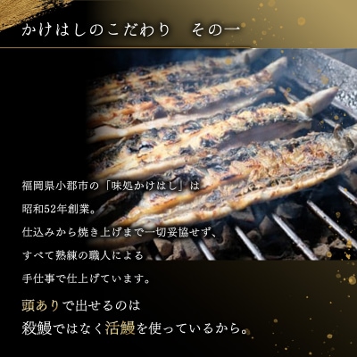 昭和52年創業の味 手焼き 国産うなぎ蒲焼き3尾(200～300g/尾) [No5354-0057]