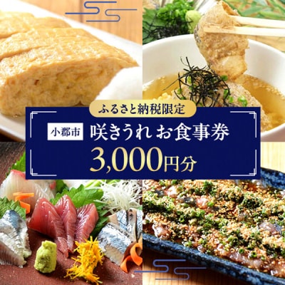 ふるさと納税限定!お食事券 3,000円 (1,000円券×3枚) 食事券[No5354-2195]