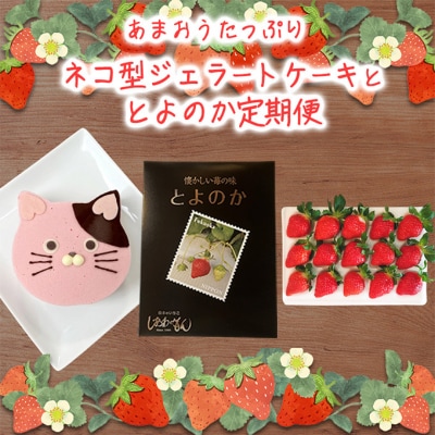 2回お届け いちご ジェラートケーキ とよのか 1箱 化粧箱入り[No5354-2222]