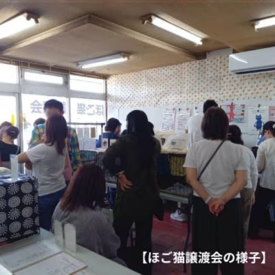 Tシャツ 猫の愛護活動を応援!白Tシャツ「パン持ちデザイン」Sサイズ[No5354-7072]