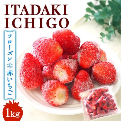 【訳あり】冷凍いちご いちご 1kg入り[No5354-2231]