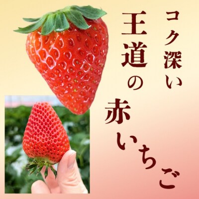 【訳あり】冷凍いちご いちご 1kg入り[No5354-2231]
