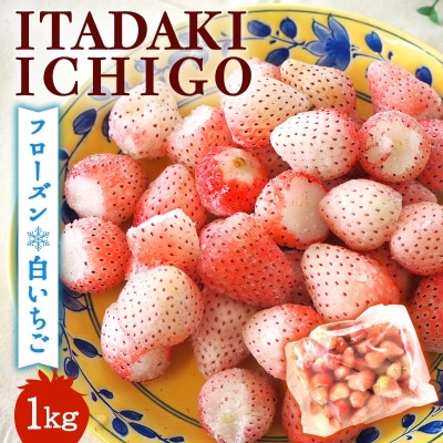 【訳あり】冷凍いちご 白いちご 1kg入り[No5354-2232]
