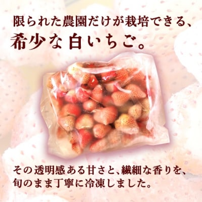 【訳あり】冷凍いちご 白いちご 1kg入り[No5354-2232]