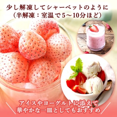 【訳あり】冷凍いちご 白いちご 1kg入り[No5354-2232]
