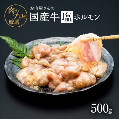 お肉屋さんの国産牛 塩ホルモン 500g 国産牛 肉 味付け 牛肉[No5354-2203]
