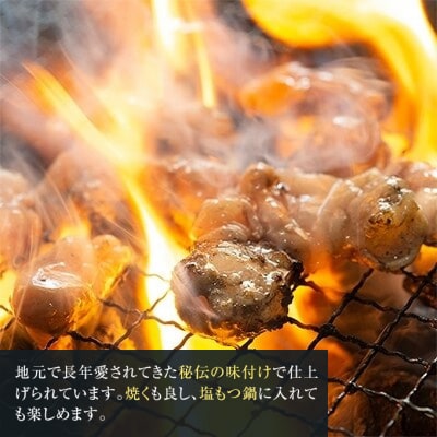 お肉屋さんの国産牛 塩ホルモン 500g 国産牛 肉 味付け 牛肉[No5354-2203]