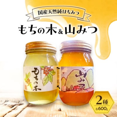 はちみつ もちの木/山みつ 各600g セット 蜂蜜 2種[No5354-2264]