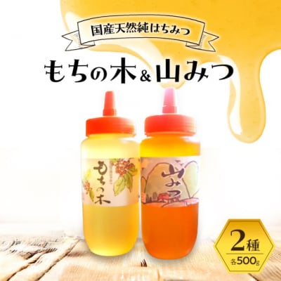 はちみつ もちの木/山みつ 各500g セット 蜂蜜 2種[No5354-2265]
