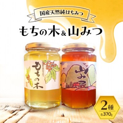 はちみつ もちの木/山みつ 各370g セット 蜂蜜 2種[No5354-2266]
