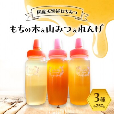 はちみつ もちの木/山みつ/れんげ 各250g×3 セット 蜂蜜 3種[No5354-2267]