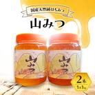 はちみつ 山みつ 1kg×2本 蜂蜜[No5354-2270]
