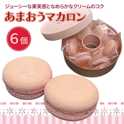 洋菓子 あまおう マカロン 6個入り いちご スイーツ 菓子 お菓子[No5354-2110]