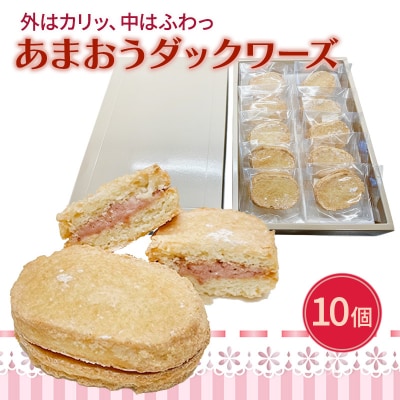 洋菓子 あまおう ダックワーズ 10個入り いちご スイーツ 菓子 お菓子[No5354-2111]